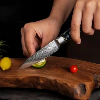"ONYX" Schälmesser Damastmesser mit 67 Lagen 8,5 cm lange Klinge Griff aus Ahorn-Wurzelholz mit Verbundharz