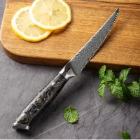 "OBSIDIAN" Steakmesser Damastmesser mit 67 Lagen 11,5 cm lange Klinge Griff aus Kohlefaser