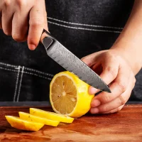 "OBSIDIAN" Allzweckmesser Damastmesser mit 67 Lagen 12,5 cm lange Klinge Griff aus Kohlefaser