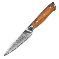 Schälmesser CAELUM Damastmesser mit 67 Lagen 9,7 cm...