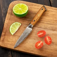 Schälmesser CAELUM Damastmesser mit 67 Lagen 9,7 cm...
