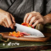 Santoku APEX 18,3 cm lange Klinge mit San-Mai ZDP-189...