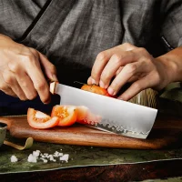 Nakiri APEX 18,3 cm lange Klinge mit San-Mai ZDP-189...