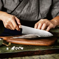 Gyuto APEX Messer mit 21 cm lange Klinge mit San-Mai...